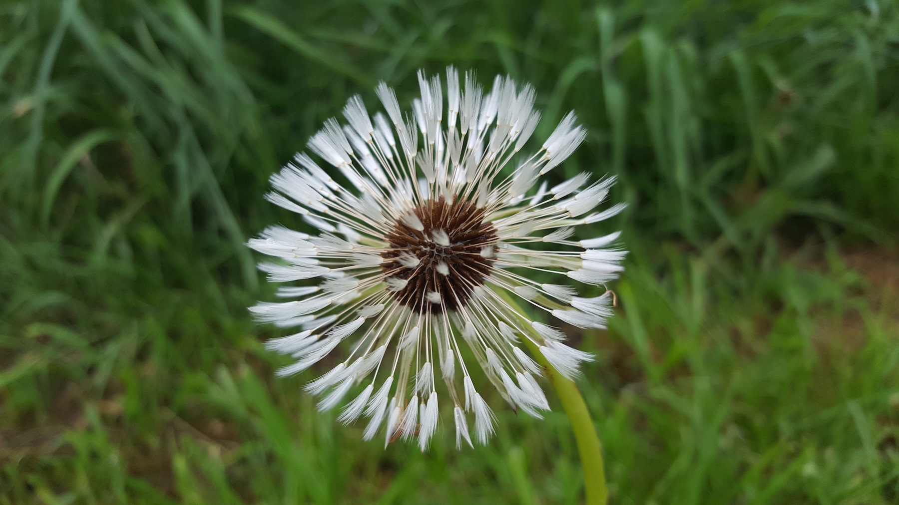 In gesprek met je lichaam is een praktijk voor haptonomie, coaching en energie.