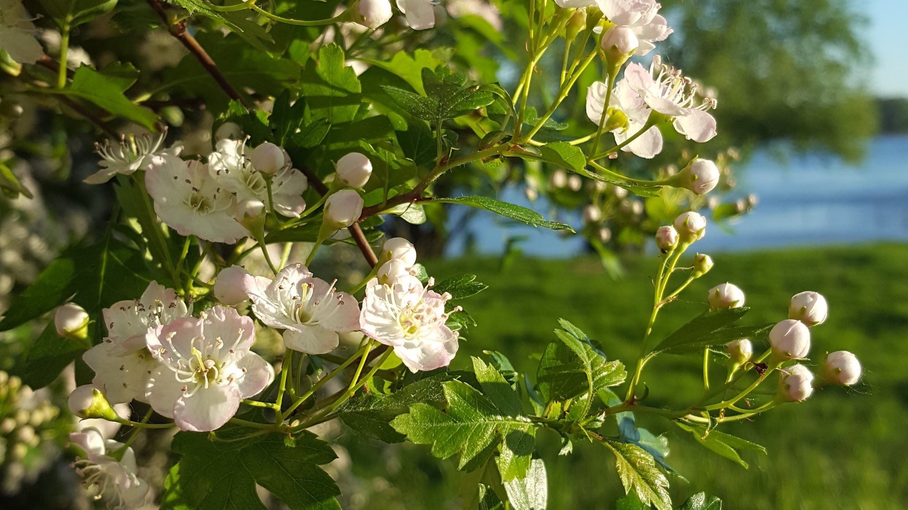 In gesprek met je lichaam is een praktijk voor haptonomie