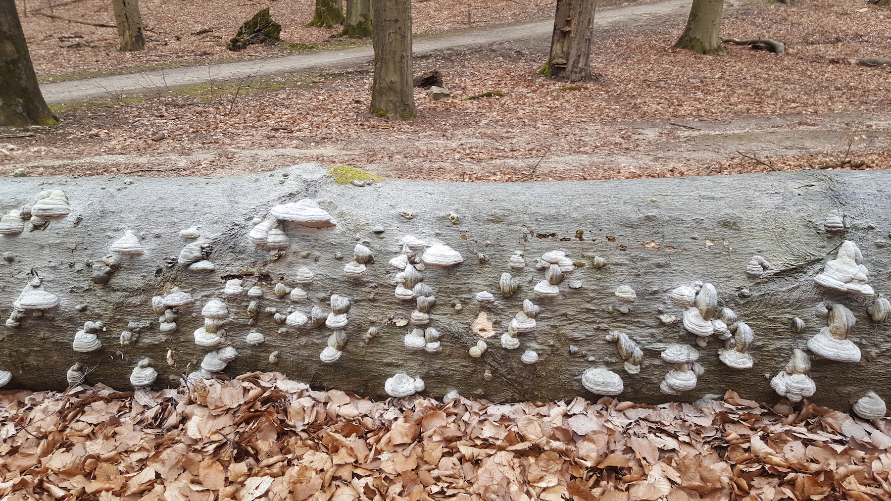 In gesprek met je lichaam is een praktijk voor haptonomie, coaching en energie.
