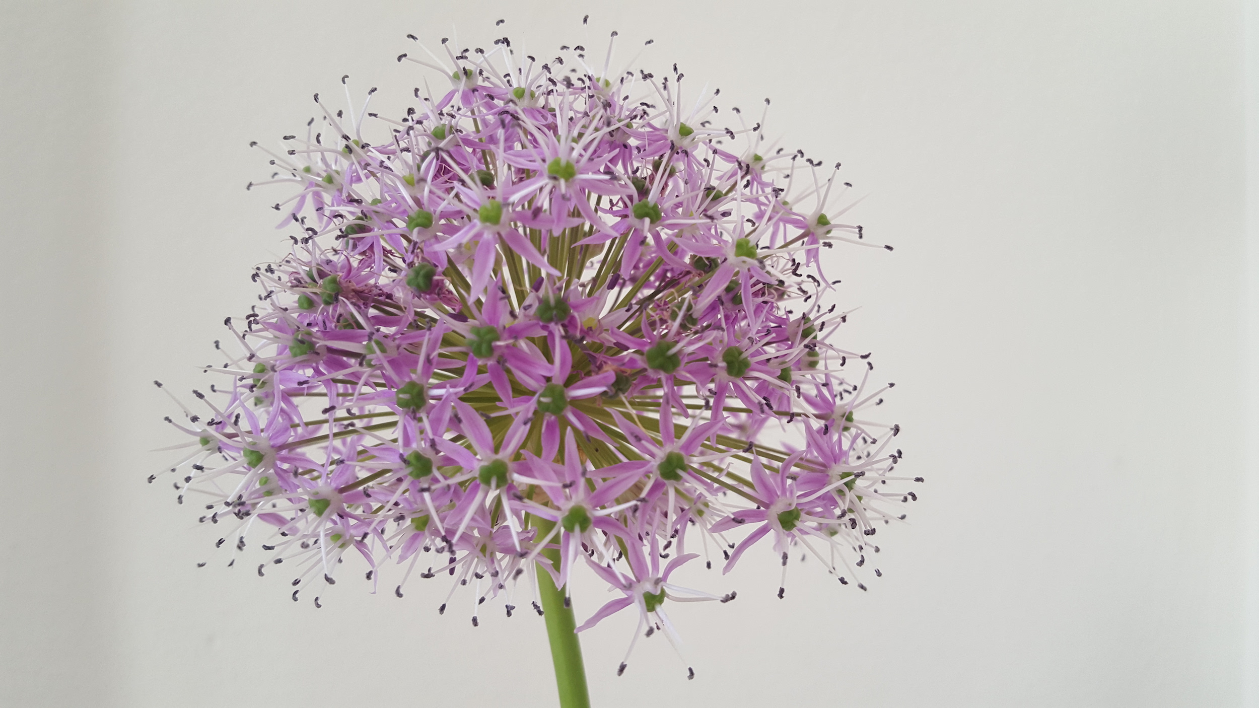 In gesprek met je lichaam is een praktijk voor haptonomie, coaching en energie.