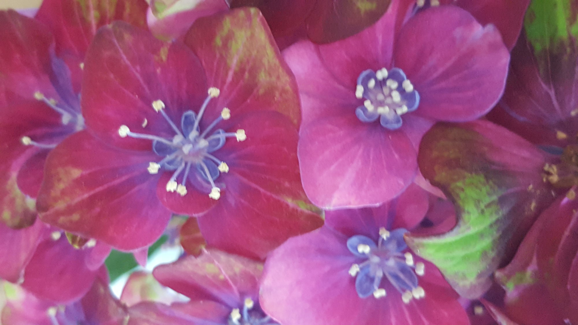 In gesprek met je lichaam is een praktijk voor haptonomie, coaching en energie.